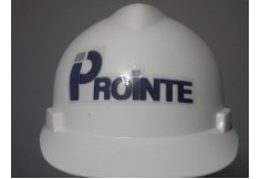 www.prointe.co