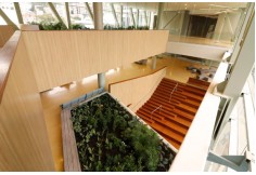 Foto Centro Universidad Central Bogotá 003535