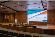 Universidad Católica Luis Amigó