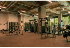 Universidad Católica Luis Amigó